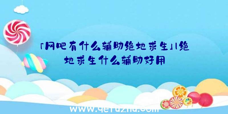 「网吧有什么辅助绝地求生」|绝地求生什么辅助好用